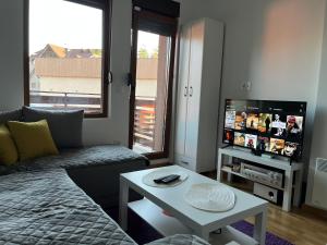 Zlatibor Jamiva smestaj