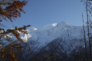 Chalets Chalet 8 pers Massif du Mont-Blanc - Les Houches : photos des chambres