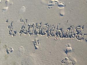 Appartement t Zomerhuis