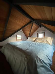 Tiny House, La Candelaria