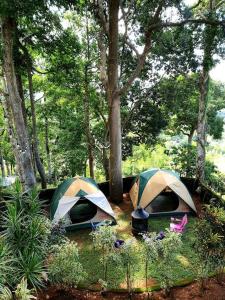 CAMP TREEHOUSE • COTTAGE • POOL • JACUZZI