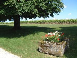 Maisons de vacances Gite Saint-Cybardeaux, 4 pieces, 6 personnes - FR-1-653-85 : photos des chambres