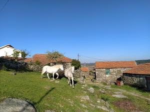 Aldeia de Moura Morta