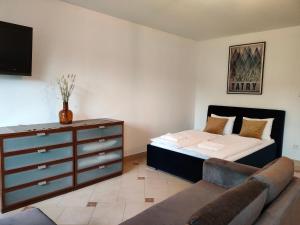 Apartament Holny