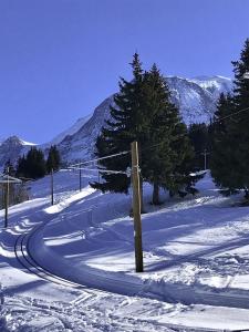 Chalets Chalet Amour blanc : photos des chambres