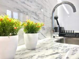 Cristelo 2 - near the river Porto