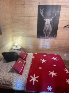 Appartements APPARTEMENT COSY AUX SAISIES n1 : photos des chambres