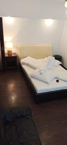 Apartament Slanic Moldova