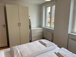 Lovely and Homey Apartment in the heart of Copenhagen