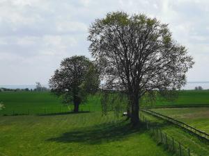Ferienwohnung Haffblick