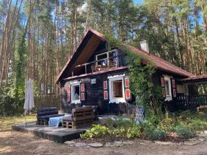 Domek Kruczy Borek - Zatory