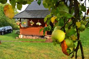 SADKOWO  domek wsród jabłoni