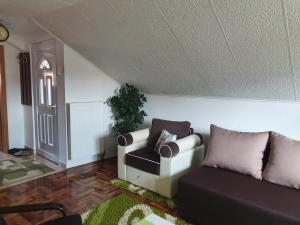 Fortress apartments Niš