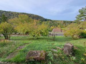 Maisons de vacances Cosy house in picturesque Jura : photos des chambres