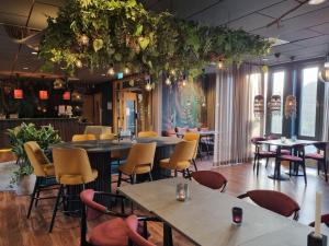 Treetop Spa Hangout & Hotel