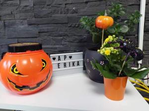 Apartament Erika Sinaia