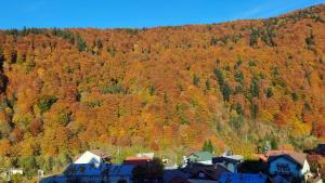 Apartament Erika Sinaia