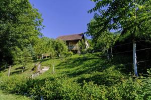 Osmak in Gusti Laz (Haus für 4 Personen)