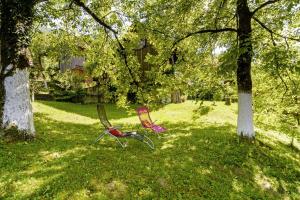 Osmak in Gusti Laz (Haus für 4 Personen)