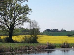 Ferienwohnung 2 am Herrenhaus Ahrensbök