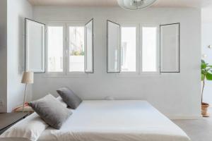 Erizo 3 loft diafáno en el Centro Histórico