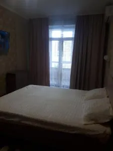 comfortable apartment - Sociteni