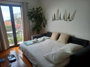 Amazing SEA LIGHT Apartment, close to the beach.