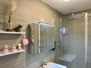 F3 Centre- Ville Lafayette avec garage