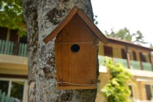 Maisons d'hotes Gite Les Esprits Libres : photos des chambres