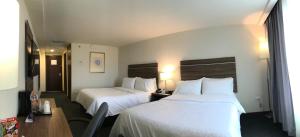 Holiday Inn Express Culiacan by IHG