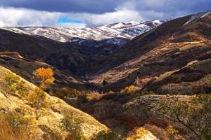 Stunning View, Frank Lloyd Wright Inspired Home!