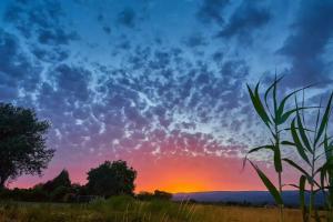 Campings PARADIS-ZEN : photos des chambres