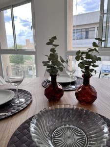 SAN LUIS CENTRO Departamento monoambiente