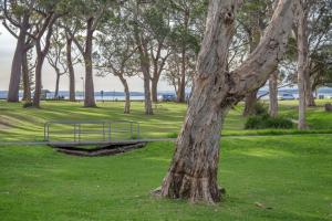 Bay Parklands 19, 2 Gowrie Avenue - ground floor unit with water views