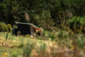 Koa Cabin Hahei - Whenuakite