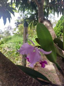 Las cabañas del escobo - CABAÑA TUCÁN