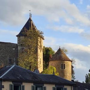 Maisons de vacances Gite de la Chateldonnaise : photos des chambres