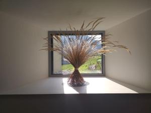 Maisons de vacances Gite Le Mouton Blanc***** Heas Gavarnie-Gedre : photos des chambres