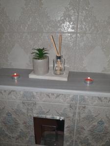 RANGA Apartments-Family