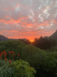 Hout Bay Perfection -Studio Apartment.