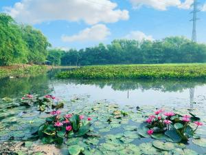 Cu Chi Boutique Farmstay