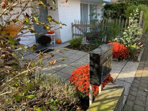 Guesthouse Poppies , Free Parking