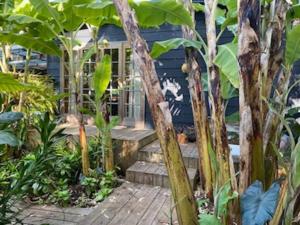 The Cabin at Lake Tyers