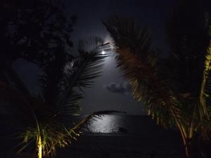 A Villa Sunshine house Zanzibar