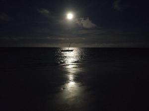 A Villa Sunshine house Zanzibar