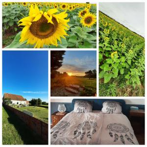 B&B / Chambres d'hotes Notre village Papillon bed&breakfast : photos des chambres