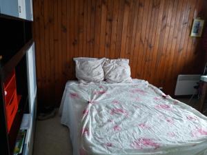 Appartements studio aux pieds des pistes : photos des chambres