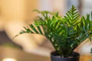 Big Studio in Rimal at The Beach JBR