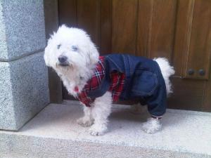 Vinarius, Posada Rural