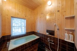 Suite Villa Yamanakako Finland Log